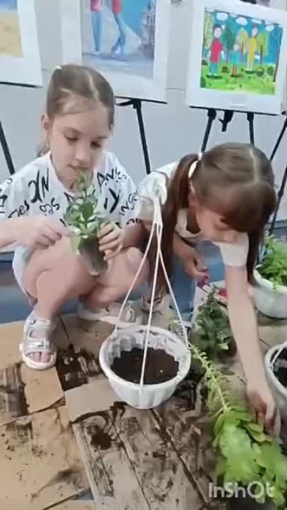 #����������� ���� - ��������� �������� ����������, � �������� ����� ����������� �������� ������ � ������������ ������������ ���������������