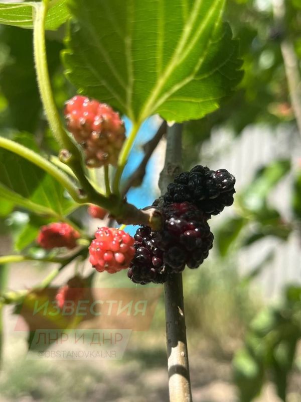 30 ��� �� ���������� ��������� ���������� ����������