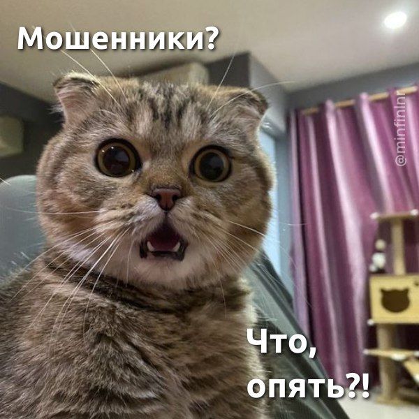 ��������� ��������� ����� ����� ��� ����������� ������� ����� ��� ��� �������