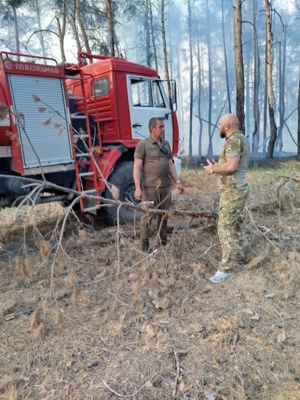 �������� ���������: � ���������� �� 28.05.2024 � ������ ������������� ����������� �������� �����