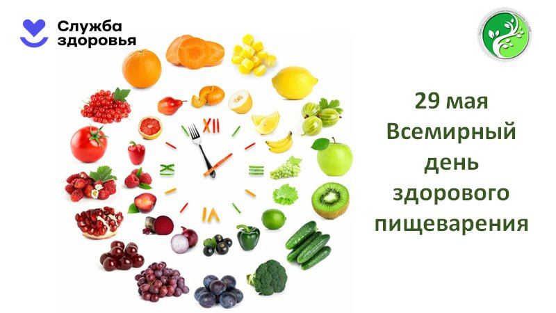 29 ��� - ��������� ���� ��������� �����������