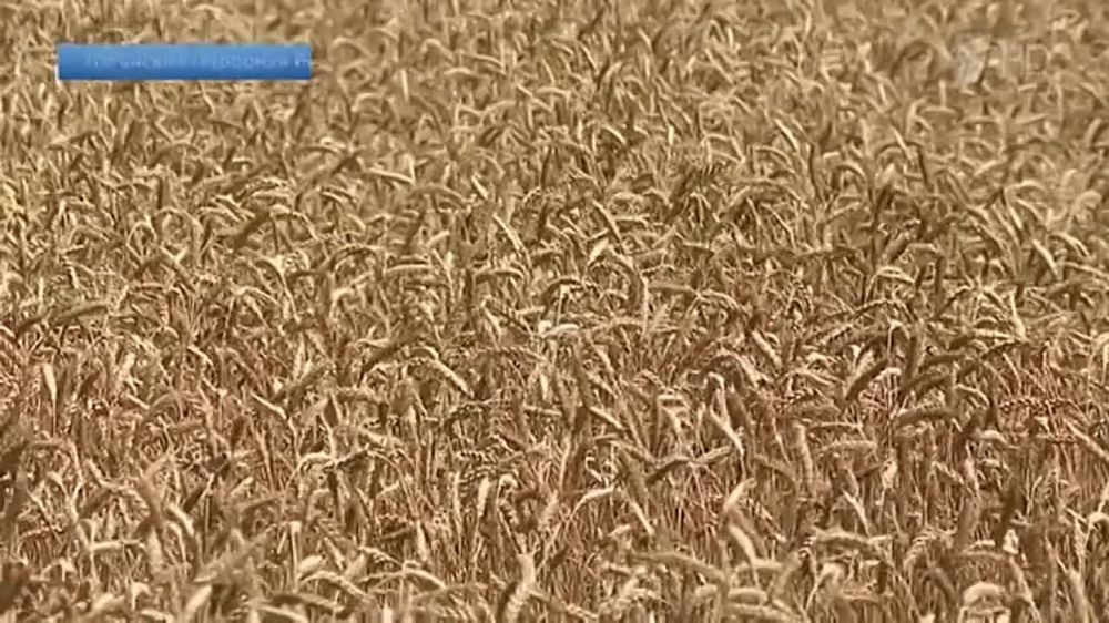 ������ �������� �� ������� � �������� ���������� ������� �������� �������� ����� ������ ������ ���������