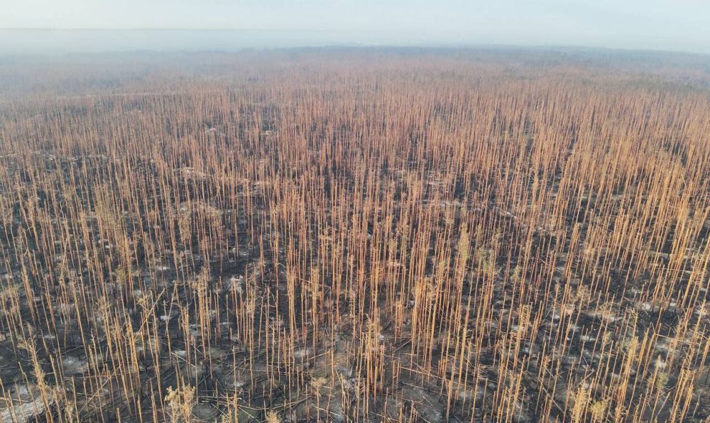 ���� ��������: ������������ ��� ��� ��������� (���), ��� ��� ���������� ����� ������� ������������ ���