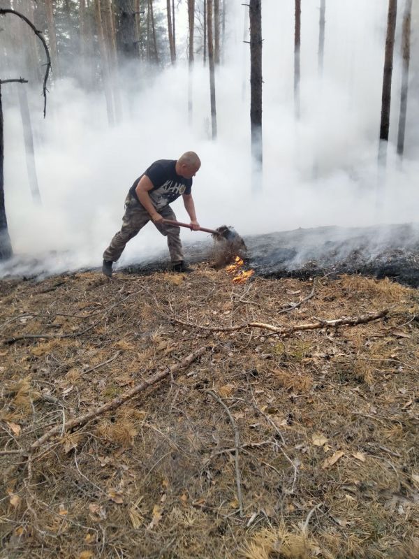 �������� ���������: ����� � ����� ������ ��������� ��������� ���������� ������� ������� � ������������� �����������