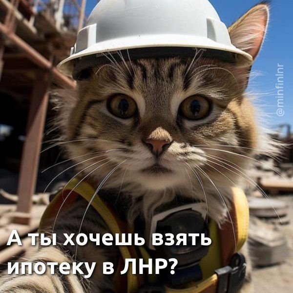��� ������������ � �������� ����� �������� �� ��� ������������������� ���������� ��������� 1�, ������� ���� ������ ��������, ��� �������� ������� ������� � ������� ���������� ������������ �� ���