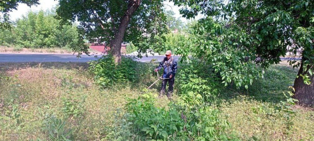 �������� ��������: ������������ ������ ���������� ������ �� ������ �������