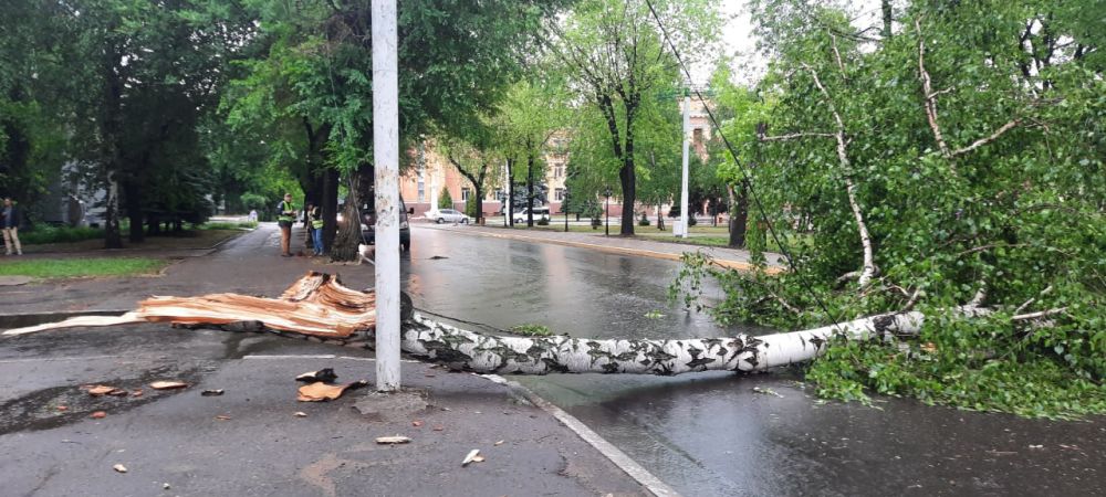 ������ ��������: ��������� ������ ����������� ����������� ���������� �����