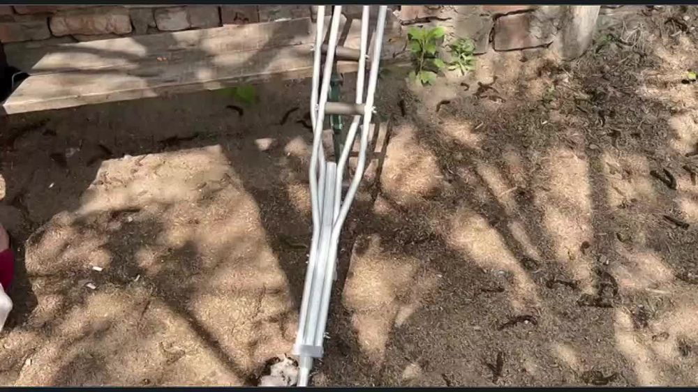 � ���������� ��� ������ ����� �������� ����� ���������� � �������� ������������ �� �������