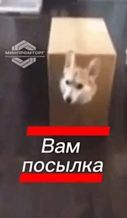 �������� ������� �� ������ �������, �� � �������