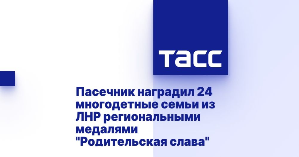 �������� �������� 24 ����������� ����� �� ��� ������������� �������� "������������ �����"