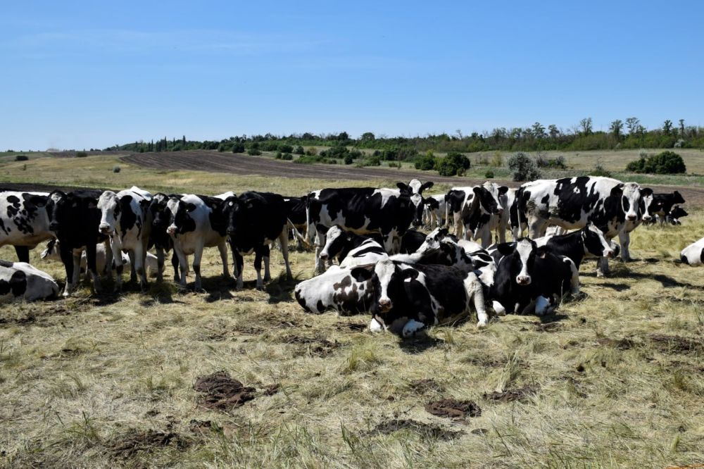 �������� ������������� �������