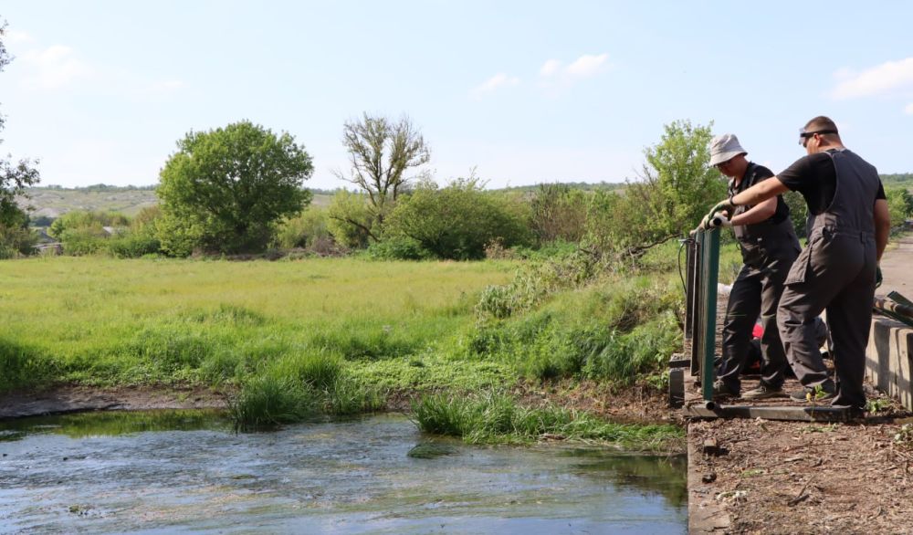 ������� �������: ��������� � ������ ��������, ������������ ���������