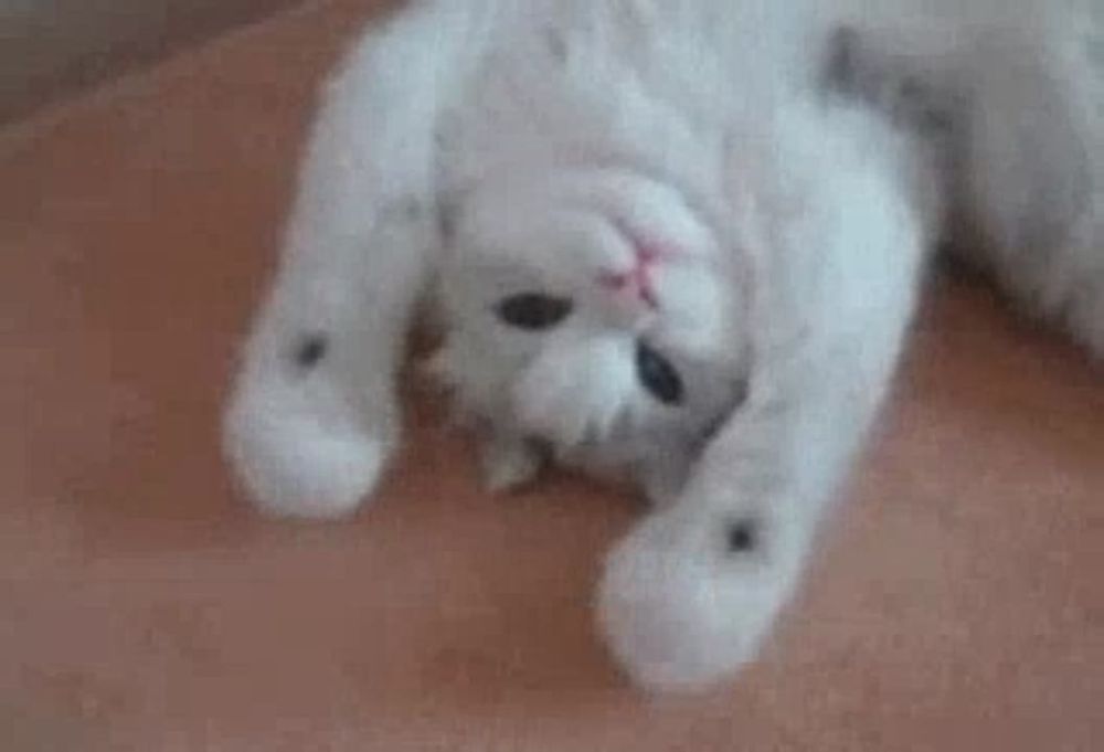 �������� ���� � ��������