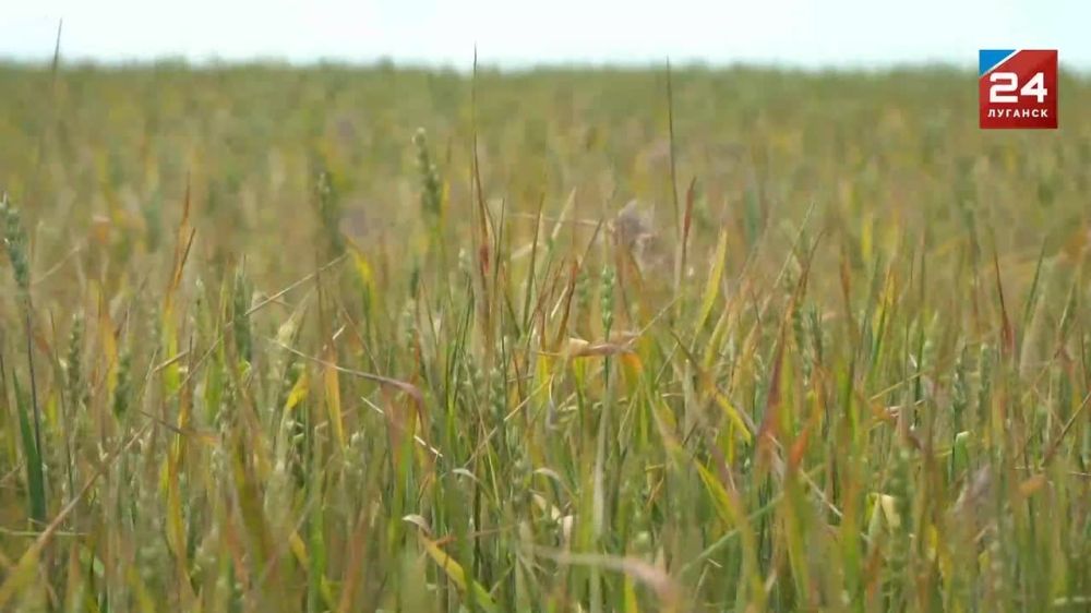 ������� 50 ����� �������� ������ ������� ���������� � ���������� ��-�� ������� ����������