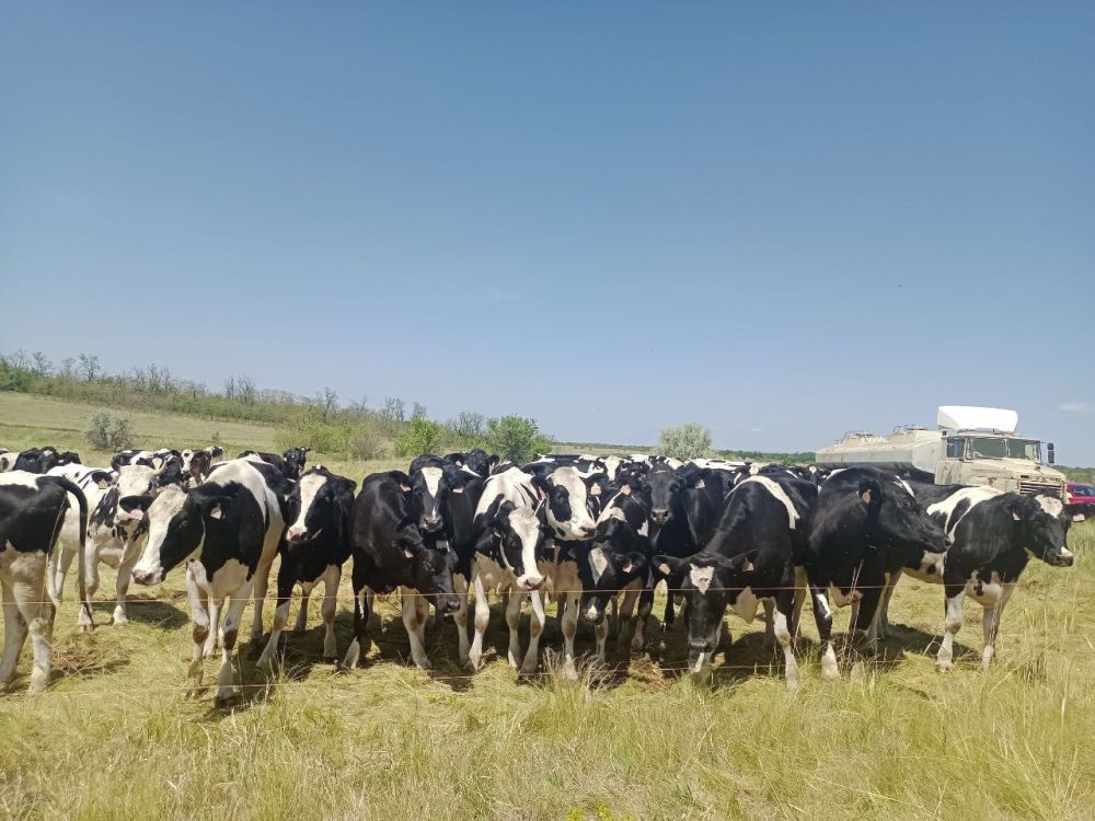 ������� ������� ������� ����� ����� � ������������� ������ ���