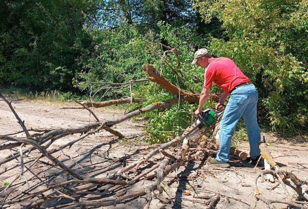 ����� �����: ��������������� ���������� - ����� ������