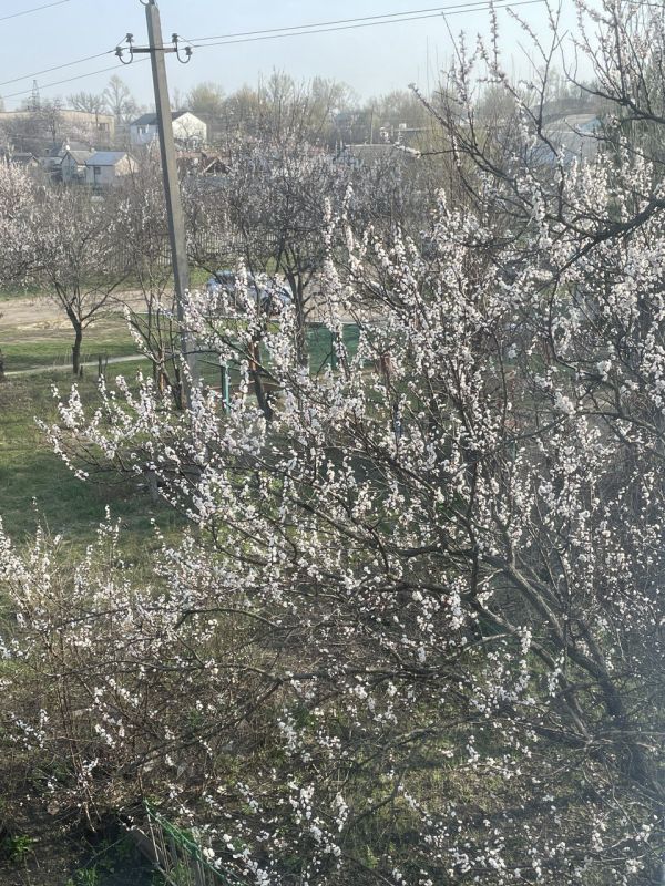 � ������ �����, ������ ����������� �������������� ������!