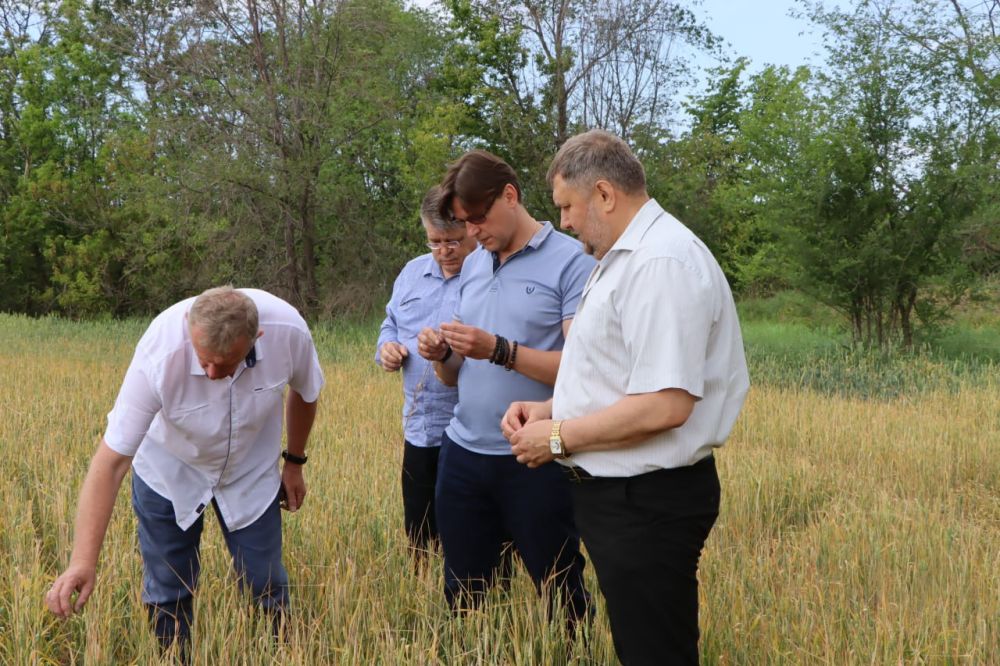 ������� �������: ��������� � ��������� ��������� ��������� � �������������� ��� �������� ��������� � �������������...