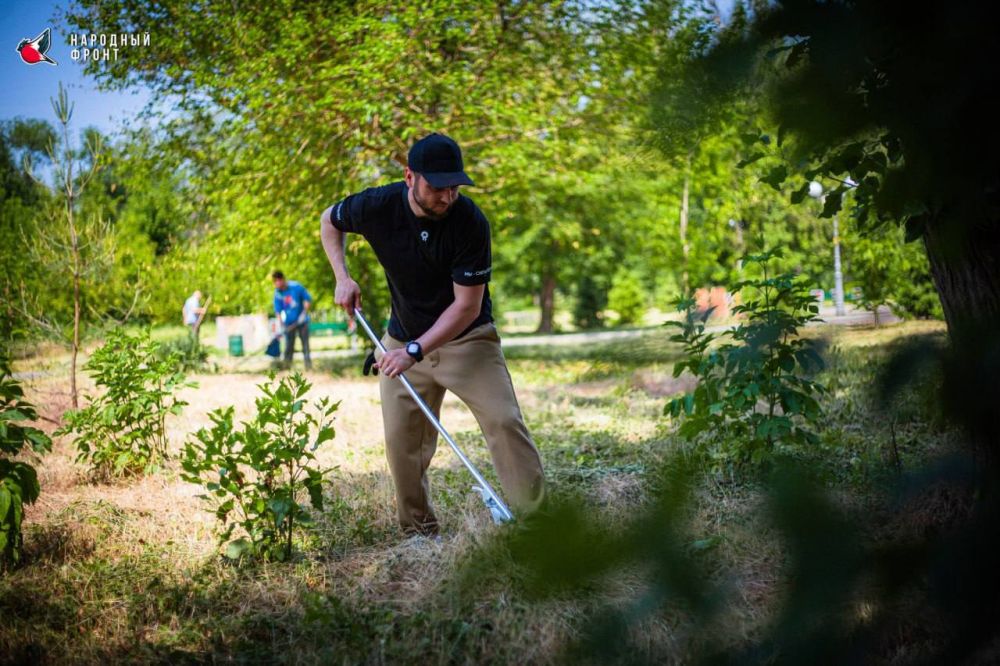 ������� ������: ���� �������. ������� �������� ������ ���, ���������� ���, ���������� �������� ������������� ������...