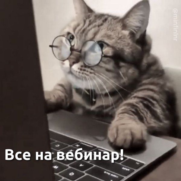 11 ���� �������� ������� ���������� �������� � �������� �������� ������� ������������ ��������� ����� ������ �� ���������������� ����� ��� ����� �� ����� �������