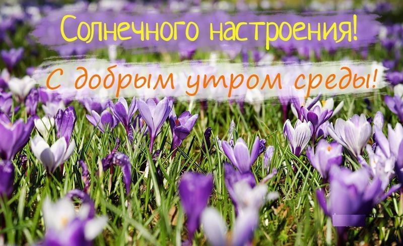 ������� � ���������� ����, ��� ������� �����!
