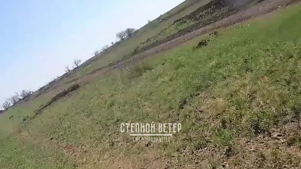 ������� ���!. @stepnoy_veter
