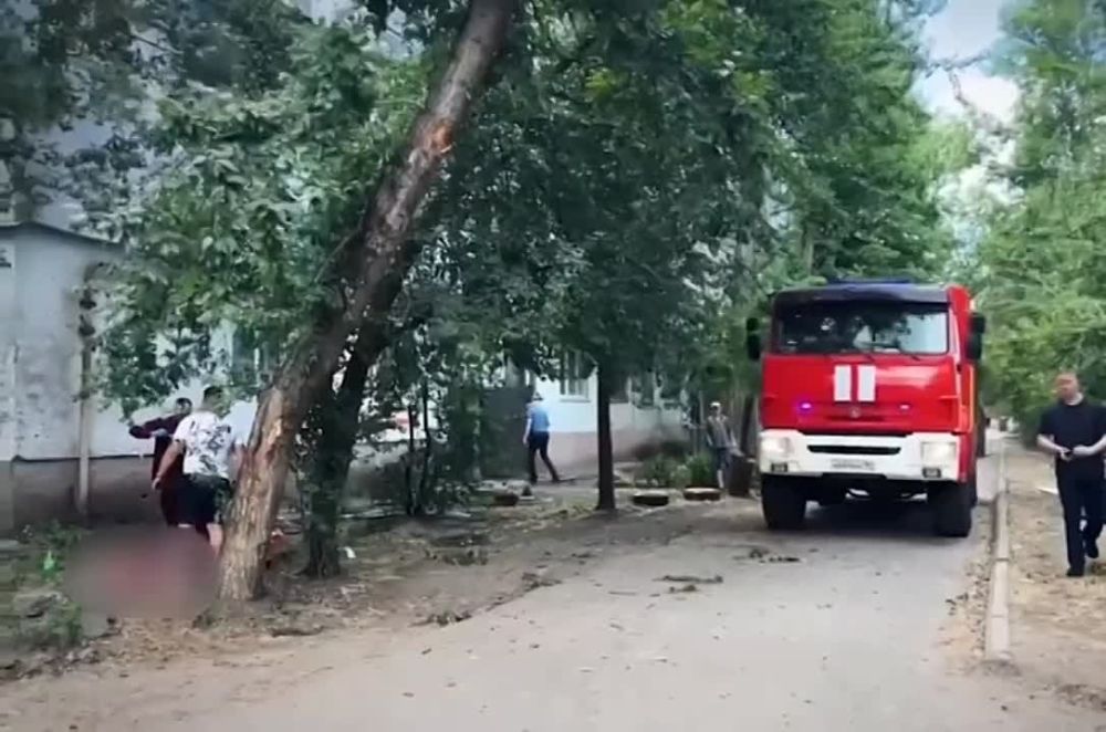 ���� ��������: ������� ��������, 43 �������, ����� ��� ���� ����� - ��������� ��������� ����� ����������� ��� �� ������ ���� � ��������