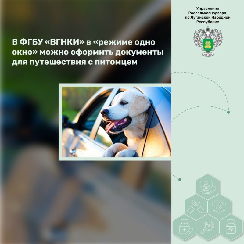 � ���� �����Ȼ � ������� ���� ���� ����� �������� ��������� ��� ����������� � ��������