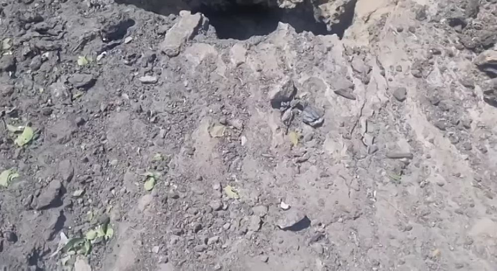 ������ �������: ���� ���������� ������ ������� ���������