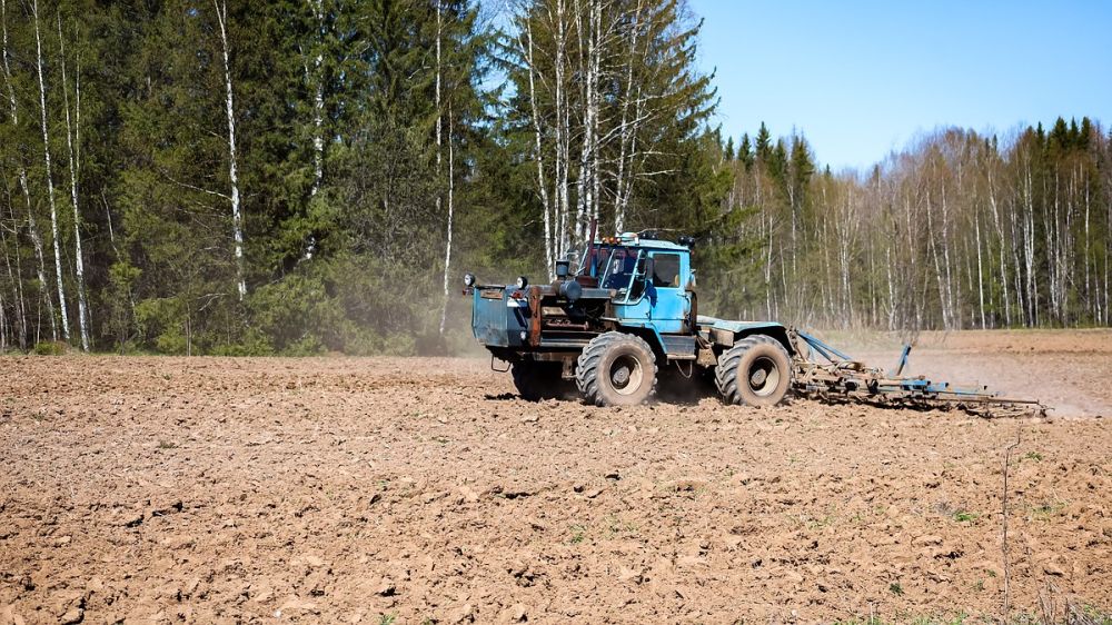 ���: ����� �������� � 11 �������� �� �������� �������� � �� ������������ ������