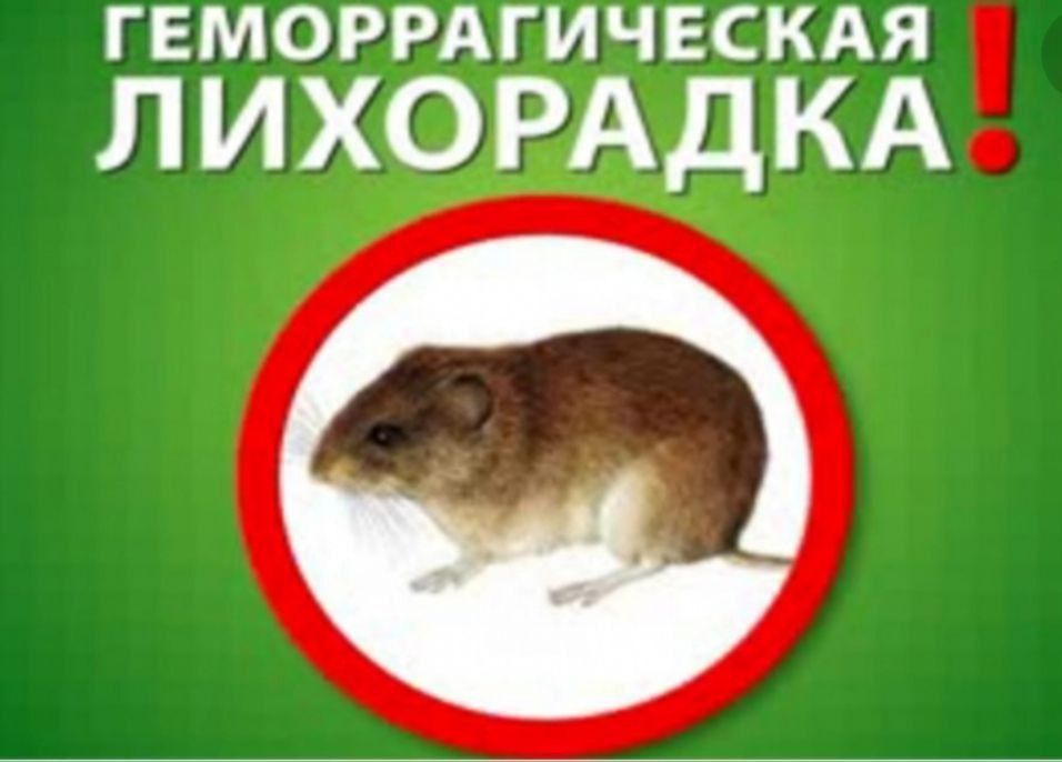 � ���������� ��������� ���������������� ����������� � ����� �������������� ������������� � ��������������� ��������������� ��������� � �������� ���������