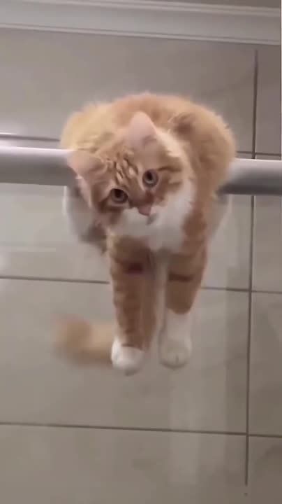 ��, �������, �� ���� �����! ������������� �� �������������� !