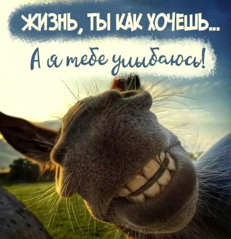 ������ ����! ����� ���� �������� �������� ������ ������� �������!))