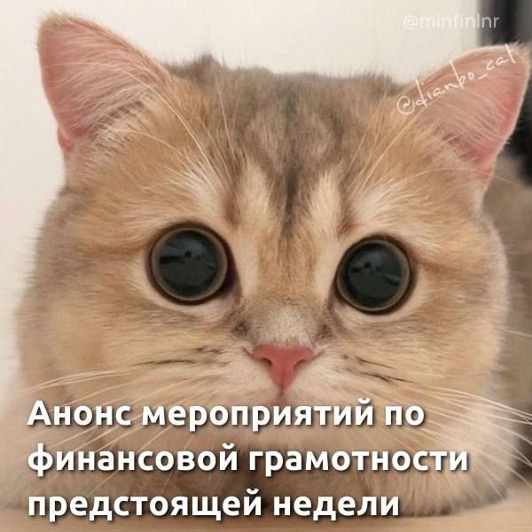 ����� ����������� �� ���������� ����������� ����������� ������ �� ������� ������
