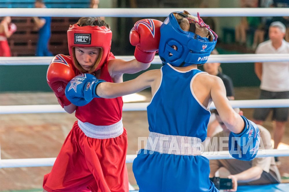 В Луганске стартовали Межрегиональные соревнования по боксу, посвященные памяти воинов-десантников, погибших в ходе СВО