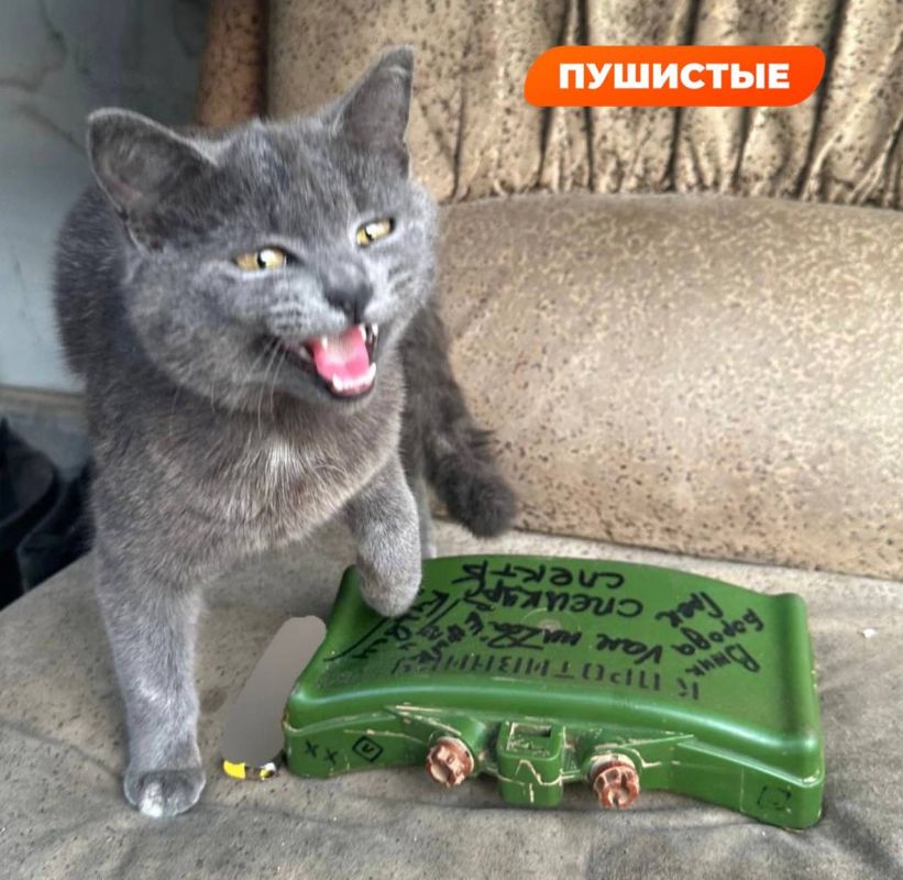 ����� ������ �������� � ���� ��� ��������� � ���������� ������ �����