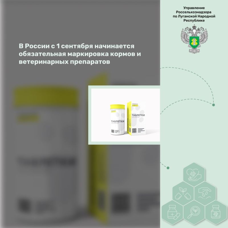 � ������ � 1 �������� ���������� ������������ ���������� ������ � ������������ ����������