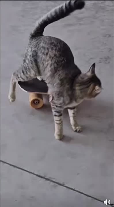 ������� ��������� � ��� ���������� ����, ����� �������� ��� ������� � �����������!