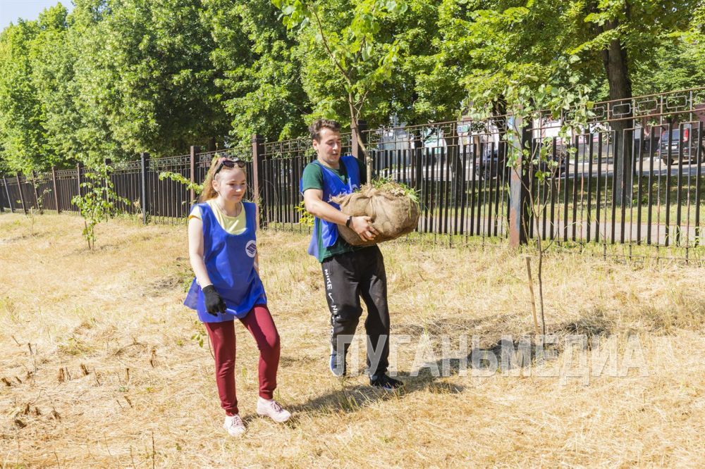 � ������������ ���� �������� �������� ����� �� ���