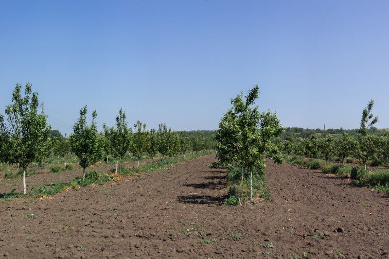 ������� ��������� ��������� � �������������� ��� ������� ��������� ��� ����������