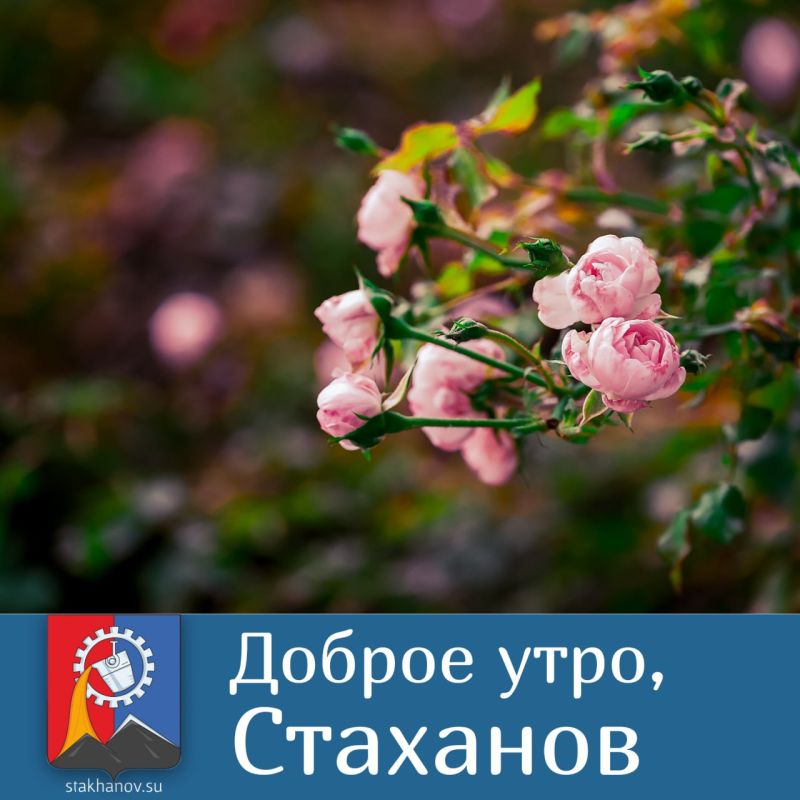 � ������ �����, �����. ������� ��������� ������� ��� +27 ��������, � � ����� ������ ������������ ��������������� ����� � ����� ��� ������� ��������� � � Telegram