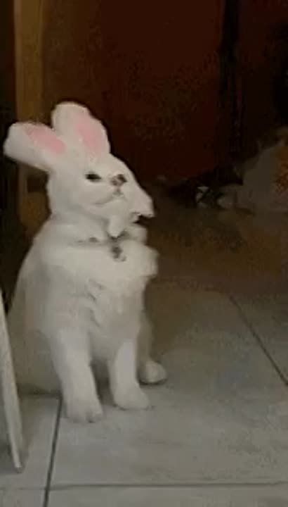 � 1 ������� ���������� ���� � ��� ����������� �������� ��������
