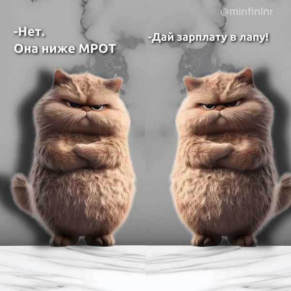 � ������ ����� ��������� �������� ��� ���� ���� ����