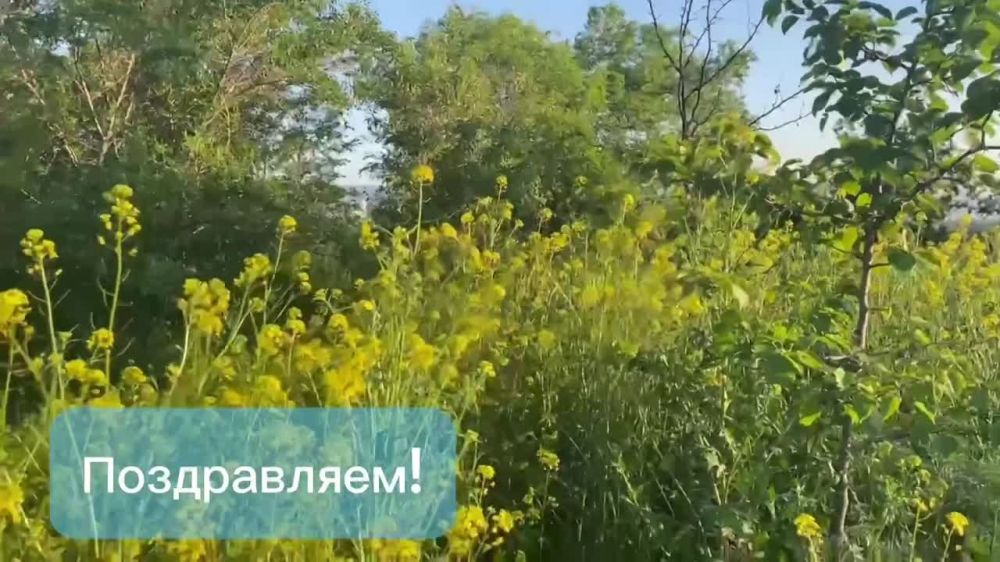 ������ ������ ����������� ���������� ������� �������� ���������� ��������� � ���� ����������
