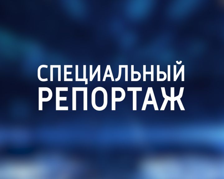 ����� ������ ��������. � ������ �����, �����������, ���������������. ������� ��� ����������� ��������� ���� � ��������