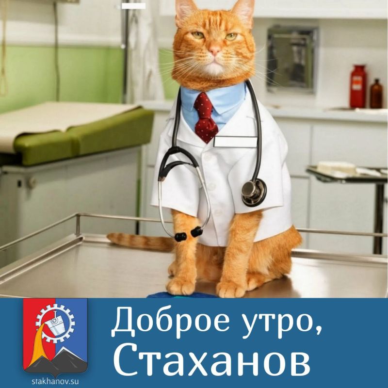 ������� � ����� ������ ���������� ���� ������������ ���������