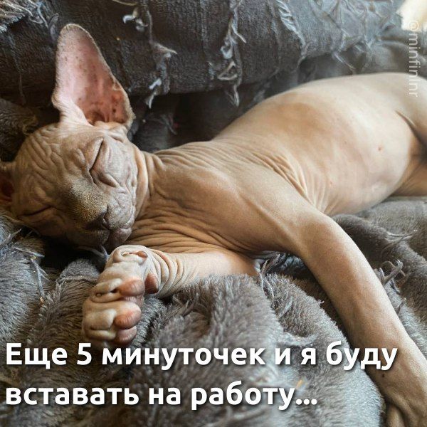 ��� � �������� � ����� "���� ������ ���� ����� �� ������"
