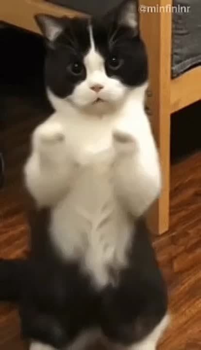 ������ ����� ������� ��������� ����?