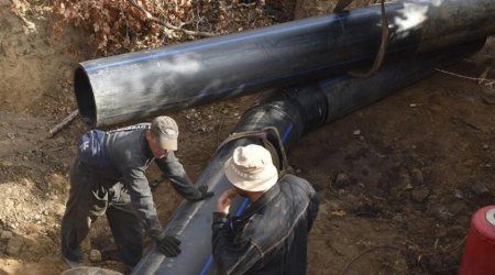 ������ �������� � ����� ���� ������� ������������� 10 ���