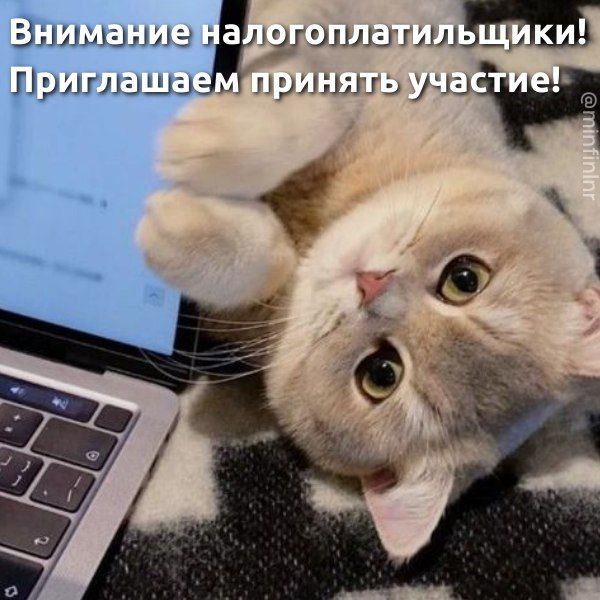 ���� ������ �� ��� ���������� ������������������ ������� ������� � �������� �� ����: ��������� ����� ������ � ������-������� � ����� ��������: ���������������� � ������������ ������������